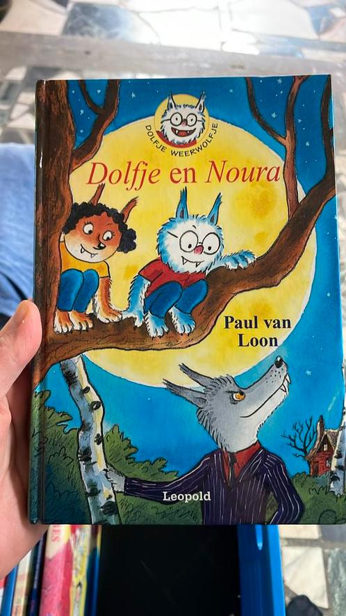 Paul van Loon - Dolfje en Noura, Livres, Livres pour enfants | Jeunesse | Moins de 10 ans, Comme neuf, Enlèvement