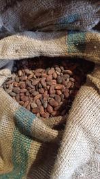 Graines de Cacao, Divers, Divers Autre, Enlèvement