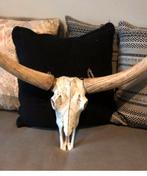 Skull, Huis en Inrichting, Ophalen, Zo goed als nieuw