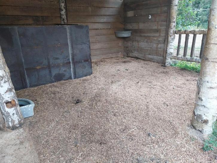 Schuilstal, Dieren en Toebehoren, Stalling en Weidegang