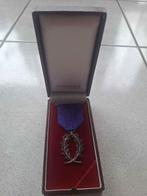 Franse academische palmen medaille Chevalier Bertrand Paris, Verzamelen, Militaria | Algemeen, Ophalen of Verzenden, Overige soorten