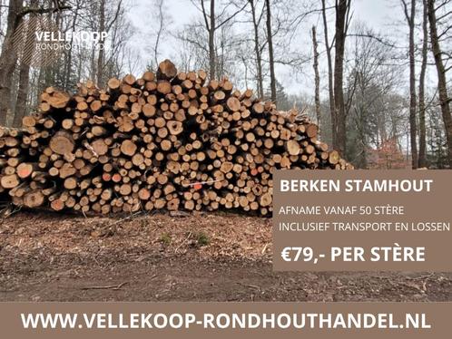 Berkenstammen | Volle vracht | 50 stère stamhout, Tuin en Terras, Planten | Bomen, Verzenden
