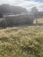 Hooi kleine ballo, Dieren en Toebehoren, Ophalen, Nieuw