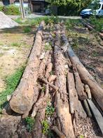 Dennenbomen, 20 stammen., Ophalen, Stammen