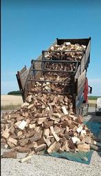 Bois dur vrac, Box vrac, Palette buches Payement livraison, 6 m³ ou plus, Envoi, Hêtre, Bûches