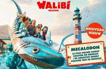 Tickets Walibi adultes valables jusque fin sept 2025, Trois personnes ou plus, Autres types
