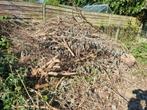 Hout om te geven, Tuin en Terras, Brandhout, Ophalen