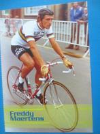 wielerkaart 1976 team flandria wk freddy maertens, Verzenden, Zo goed als nieuw