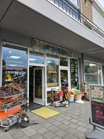 Diversen reptielen en amfibieën 7 juni pinksterweek acties, Dieren en Toebehoren, Amfibie