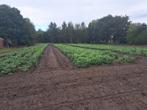 gezocht landbouwgrond, Ophalen