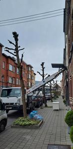 Liftservice voor het verhogen en verlagen van lasten, Diensten en Vakmensen, Klusjesman en Klusbedrijf