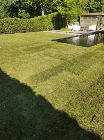 Te koop grasmatten  beschikbaar voor biedingen