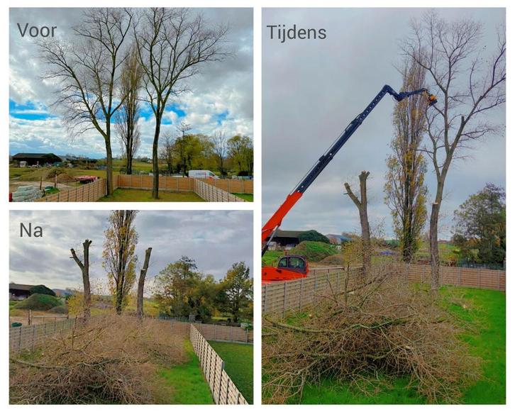 Bomen snoeien, vellen, kappen (machinaal), Articles professionnels, Machines & Construction | Grues & Excavatrices, Enlèvement