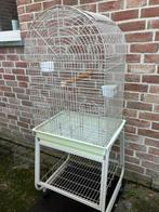 PAPEGAAIENKOOI MET OPEN DAK OP WIELTJES NU 110 EURO, Ophalen, Zo goed als nieuw, Volière