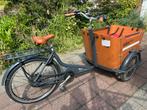 Vélo cargo Babboe E-curve mountain, Utilisé