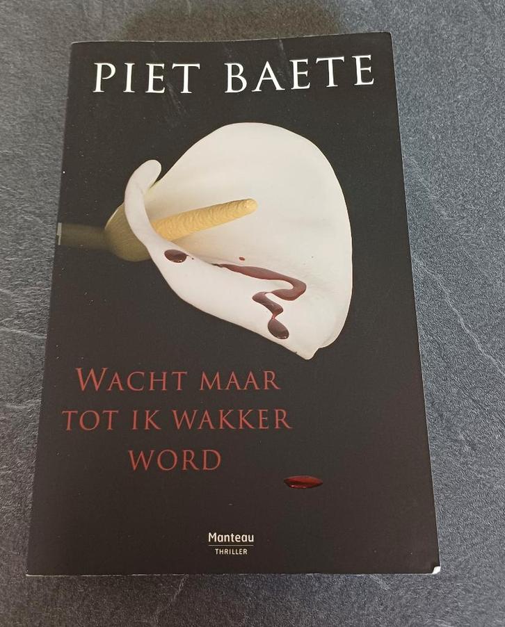 boek wacht maar tot ik wakker word - piet baete, Boeken, Thrillers, Gelezen, Verzenden