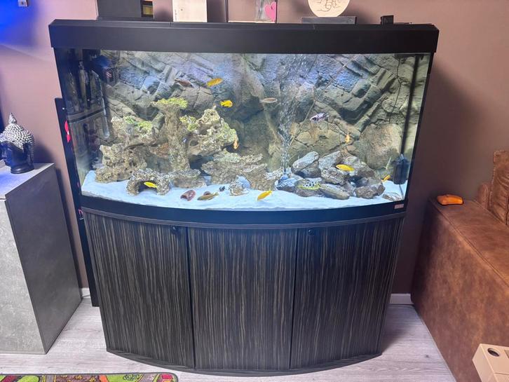 Mooi Malawi aquarium 120x47x63cm compleet draaiend., Dieren en Toebehoren, Vissen | Aquaria en Toebehoren, Gebruikt, Gevuld zoetwateraquarium