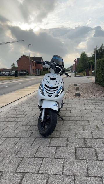 Witte polini zip te koop, Enlèvement, Zip