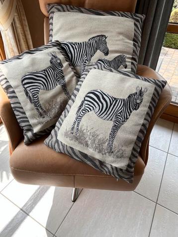 3 kussens Zebra thema! beschikbaar voor biedingen