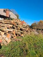 64 steres de bois a vendre au metre cube, Bouleau