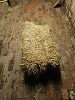 Kleine balen hooi, Dieren en Toebehoren, Ophalen