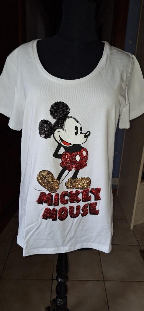 Fracomina t-shirt - nieuw, Kleding | Dames, T-shirts, Nieuw, Maat 38/40 (M), Wit, Verzenden