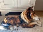 hond (colli) in porselein, Antiek en Kunst, Ophalen