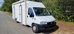 Fiat ducato office 10.000km, Diesel, Particulier, Koelkast, Luifel