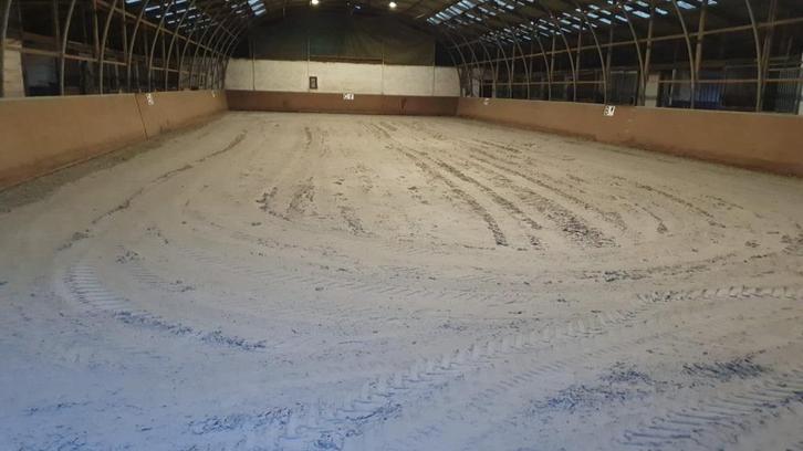 Volpension te huur in Koningshooikt, Dieren en Toebehoren, Stalling en Weidegang, Opfok, Stalling, Weidegang, 4 paarden of pony's of meer