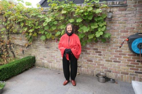 Outfit verkleedpak zwart rood, Diversen, Sinterklaas, Zo goed als nieuw, Ophalen of Verzenden