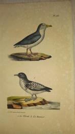 Ets Petret lot 151, Ophalen of Verzenden