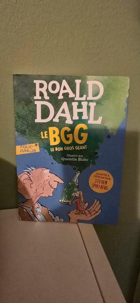 Livres enfants neufs ou comme neufs, Boeken, Kinderboeken | Jeugd | 10 tot 12 jaar, Zo goed als nieuw, Ophalen