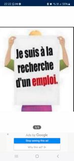 CHAUFFEUR LIVREUR  CHERCHE TRAVAIL DE NUIT.