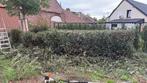 Zoek tuinwerk, Ophalen of Verzenden