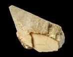 Groot solitair CALCIET kristal uit België., Verzamelen, Mineralen en Fossielen, Ophalen of Verzenden, Mineraal