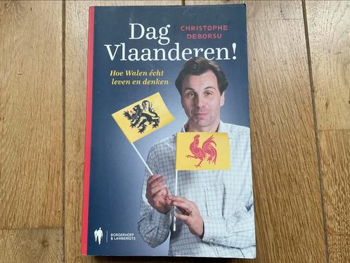 Christophe Deborsu - Dag Vlaanderen!, Livres, Politique & Société, Comme neuf