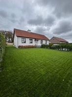 Woning bree, Immo, 500 tot 1000 m², 167 m², Vrijstaande woning, 3 kamers