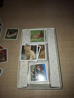 dierenkwartet kwartetspel, Ophalen of Verzenden, Zo goed als nieuw, Kwartet(ten)