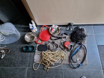 Laisses, longe, jouets, harnais,... pour chien beschikbaar voor biedingen
