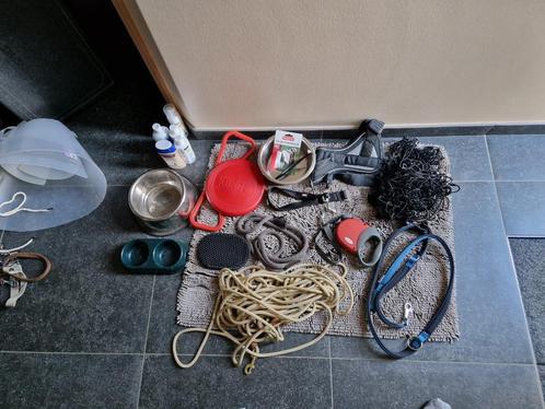 Laisses, longe, jouets, harnais,... pour chien, Dieren en Toebehoren, Honden-accessoires, Zo goed als nieuw, Ophalen