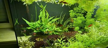 4 billets pour SEALIFE BLANKENBERGE