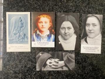 5 reliek / relikwie heilige Theresia van Lisieux beschikbaar voor biedingen