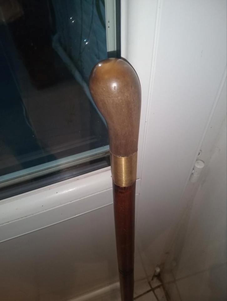 Riethoorn, Diversen, Wandelstokken