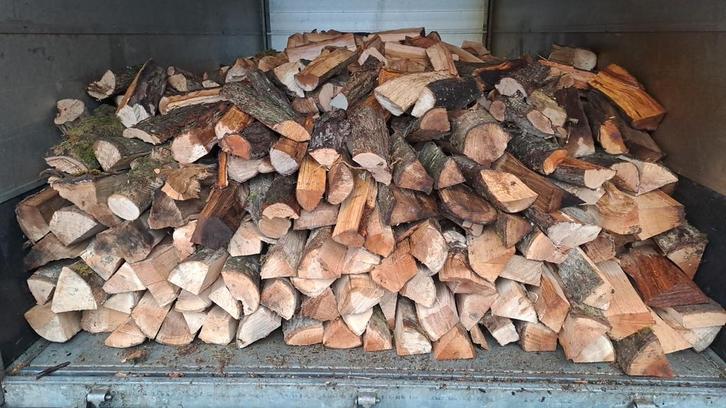 Bois chauffage, Jardin & Terrasse, Bois de chauffage, Hêtre, Enlèvement ou Envoi