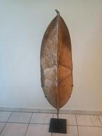 Bouclier Konso d'Ethiopie, Enlèvement