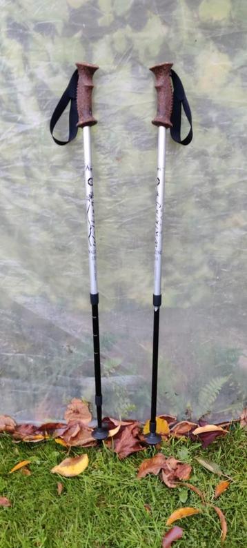 Wandelstokken "Les Alpes" beschikbaar voor biedingen