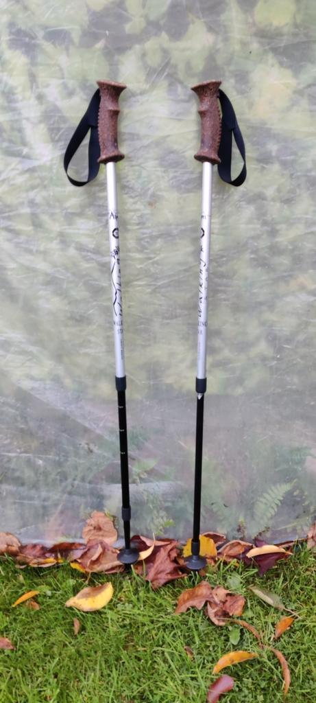 Bâtons de marche « Les Alpes », Sports & Fitness, Alpinisme & Randonnée, Neuf, Bâton de marche, Enlèvement