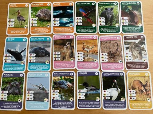 dierenplaatjes, Hobby en Vrije tijd, Stickers en Plaatjes, Nieuw, Plaatje, Ophalen of Verzenden
