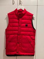 Bodywarmer, Vêtements | Hommes, Blousons sans Manches, Enlèvement ou Envoi, Comme neuf