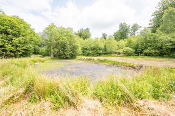 Terrain à vendre à Paliseul Carlsbourg beschikbaar voor biedingen